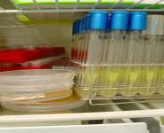 Microbial Loads In Herbal Medicines
