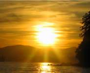 Quranic Exegesis & Analysis Via The Lens Of Modern Science...