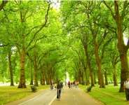 Ghana Is On The Road To Sustainable Pathway!