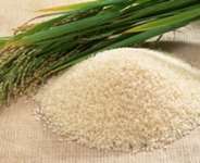 Re: Ghana to Undertake Field Trial on GM Crops
