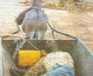 Letter to Jomo: Who has the list of Bawku war lords?