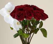 Love Is Here And There But Nowhere To Be Found
