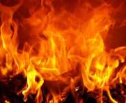 Dambai: Ministers 115 Acre Mango Farm Burnt To Ashes