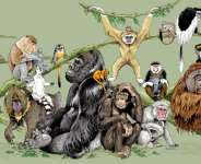 A Primate is a Mammal