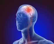 Nourishing the Brain: A Doctors Guide to Nutrition and Diet for Stroke Prevention