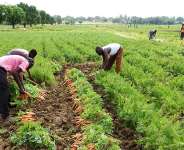Why banks won’t lend to farmers — And how to fix it in the new age