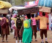 The Numerous Attacks On Free SHS