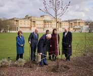 His Majesty The King Plants a Tree to Commemorate Pan-Commonwealth Commitment to The Queen’s Commonwealth Canopy