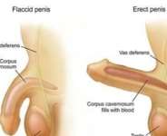 Demystifying Erectile Dysfunction....?