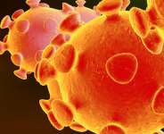 How a foreign virus is always defeated in Ghana than local foes