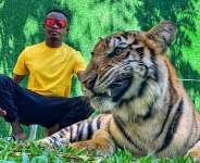 Nigerian pageant King Emmanuel somto poses and chat with a live tiger