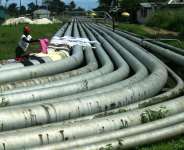 Fear Over Terrible Effects of Blowing Oil Pipelines on Biodiversity