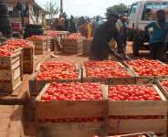 Burkina Faso halts tomato exports, raising supply concerns in Ghana