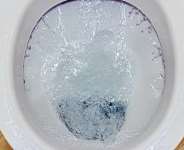 What becomes the use of a flush toilet, a veronica bucket without water?