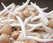 Eating Mushroom Can Lower Risk Of Breast Cancer