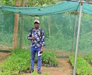 How Weather Information Is Redefining Agriculture in Ghana