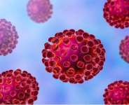 Small Analysis of the exorbitant prices of goods and services in Ghana as a result of the Covid-19 pandemic