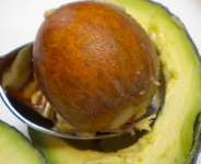 The Avocado Seeds: Benefits & Use