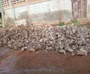 Kofi Job Construction kills thousands of fowls, to cough up GHS100million as compensation