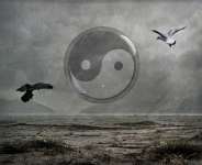 Revisions Of Life, In An Artistic Eye