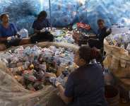 Sorting plastic for a living