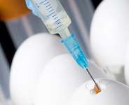 Egg-Based Covid-19 Vaccine, A Chance For African Manufacturers