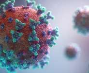 Africans! Have Confidence In Our Own Competent Holistic Medical Practinioners To Heal Us From COVID-19 Virus!