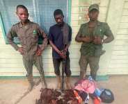 Dear Ghana, that Hungry Poacher is Still a Criminal! Abilolos Random Musings!