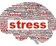 Understanding the Impact of Stress on the Brain: Strategies for a Healthier Mind