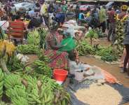 Nations Must Salute Efforts Of All Farmers In The War Against COVID-19