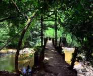 How To Control Deforestation In Ghana