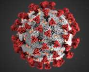 China Should Prepare For The Wuhan Virus Bill