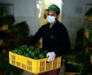 Covid-19 And Food: Can I Contract Coronavirus Through The Consumption Of Food?