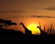 Africa – A Continent with Little Desire to Develop Economic Independence Despite its Colossal Resources
