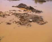 The Galamsey Menace, Walking The Talk And Bitting The Bullet