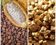 Demigods in our body politics; mismanaging our natural resources