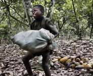 Ghana’s Child Labour Free Zones Is Possible — Says Findings