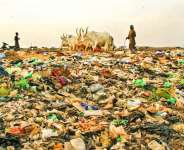 Interview Transcript: Inside the Fight Against Soil Pollution