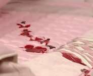 Virginity! Is The Hymen Enough Covenant?