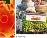 Covid-19: Food Supply and Sustainability