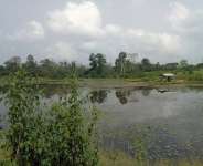 Environmental Protection: Our Civic Responsibility