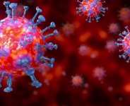 Is The Virus The Only Enemy?
