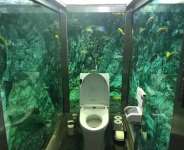 Check Out Japans Famous Aquarium Toilet