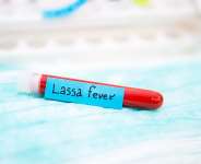 A Prioritised Research Agenda to Inform the Introduction and Use of Lassa fever vaccines in West Africa