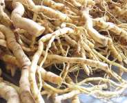 Mondia Whitei: Africa’s Forgotten Aphrodisiac and Natural Health Treasure