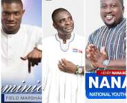NPP National Youth Organizer Contest: Symbols, Slogans And Funfairs Versus Lofty Policies