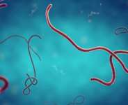 The Virus the World Stopped Watching For: Ebola Returns, and the Surveillance That Should Have Caught It Is Gone