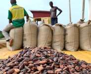 BoG to raise $1billion locally to finance 2026/2027 cocoa purchases, deepen domestic bond market