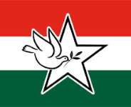 Is The Ghanaian Diaspora Ready For A Third Party?