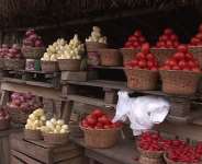 Beyond Celebration: Africa Day Must Ignite Action on Food Security
